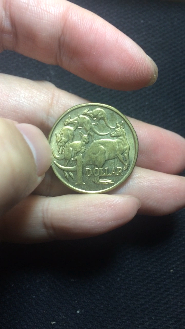 澳元一元硬币图片