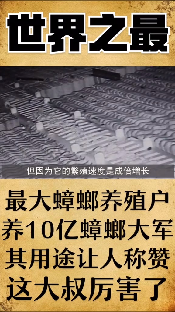最大蟑螂养殖户养10亿蟑螂大军