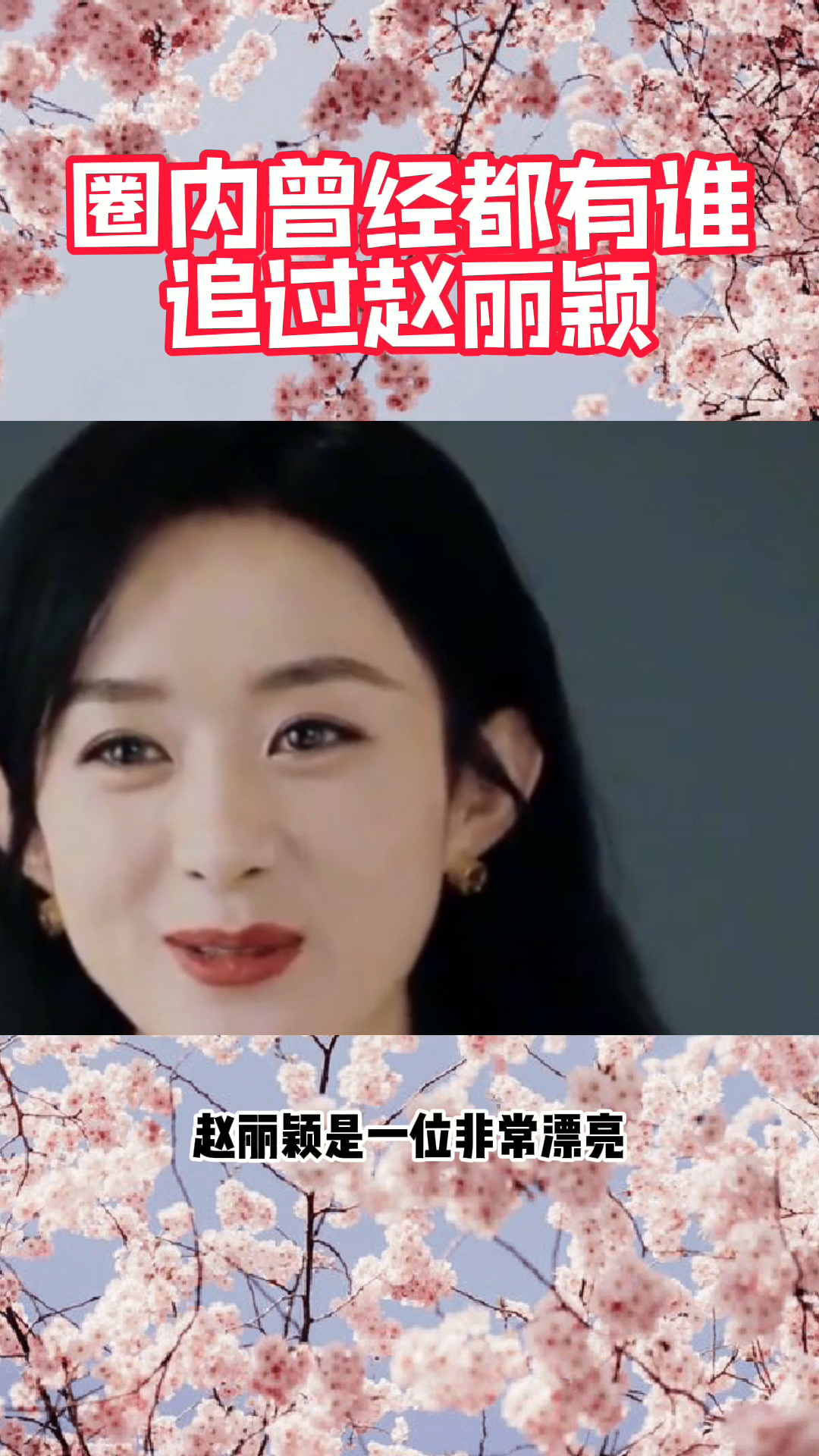 圈内曾经都有谁追过赵丽颖?