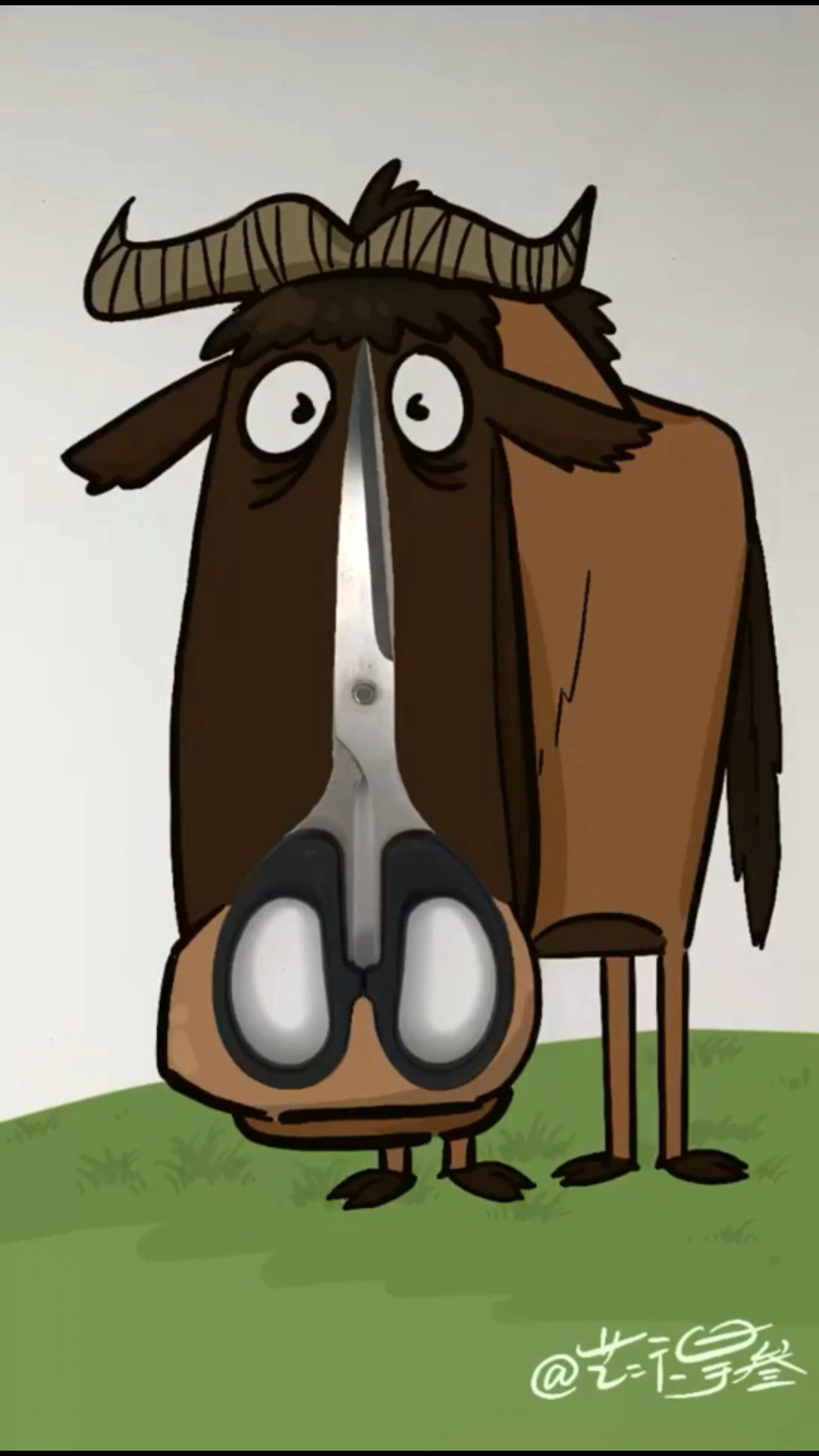 表白女神#角马是马还是牛?