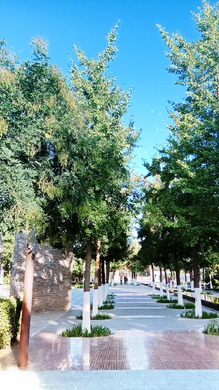 伯雍公园美景一角!