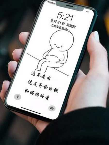 这不是肉这是爸爸的钱和妈妈的爱壁纸减肥锁屏