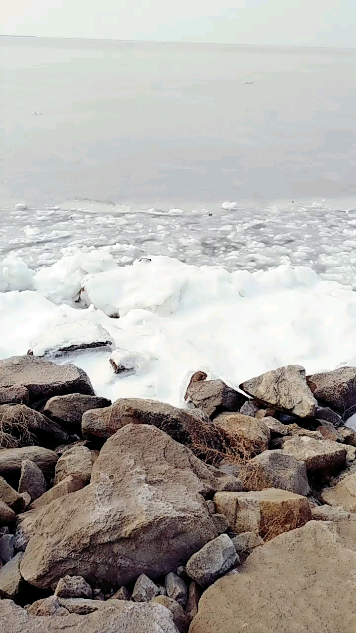 看过大海结冰什么样吗?