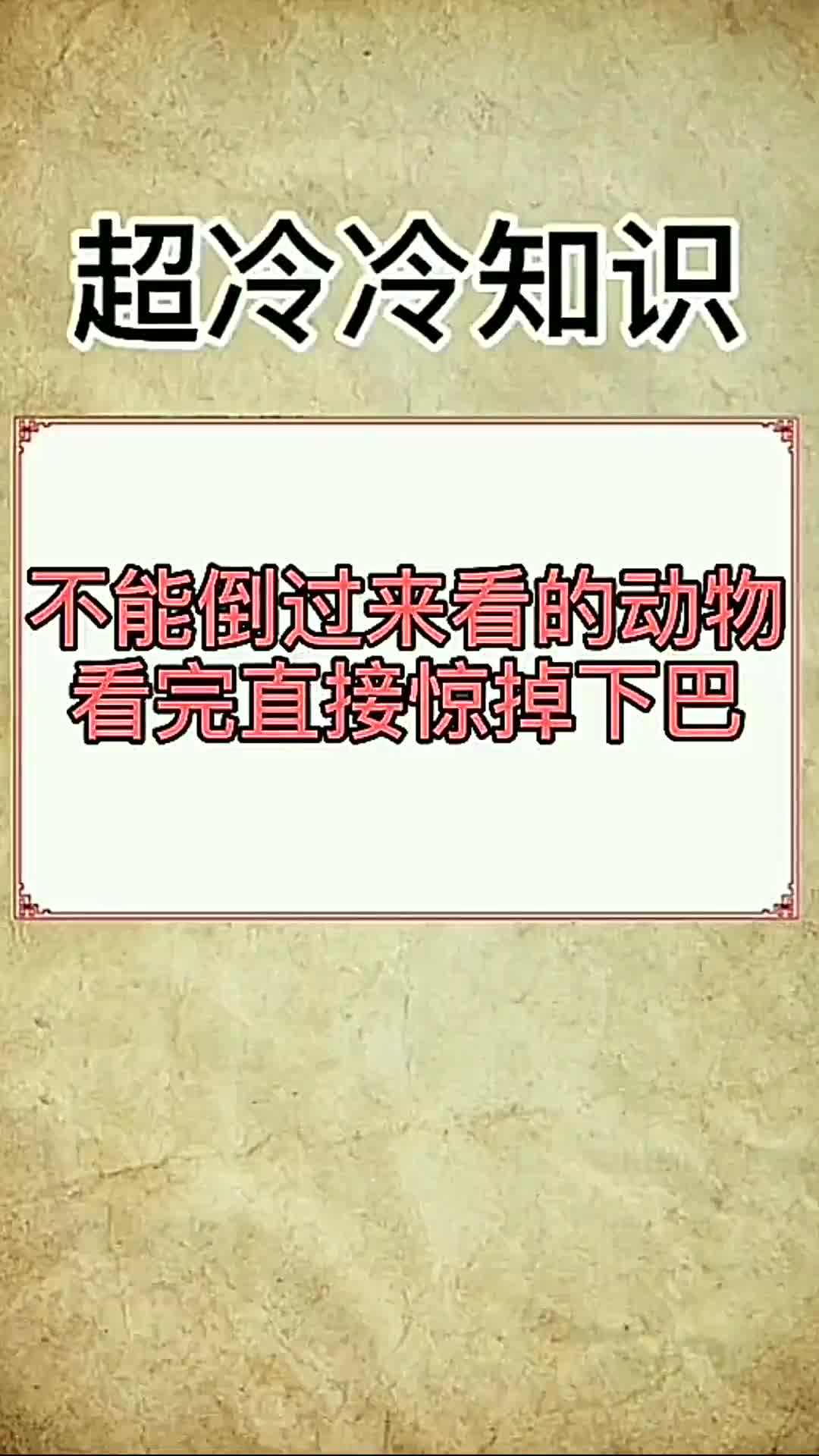 不能倒过来看的动物你偷偷倒了吗