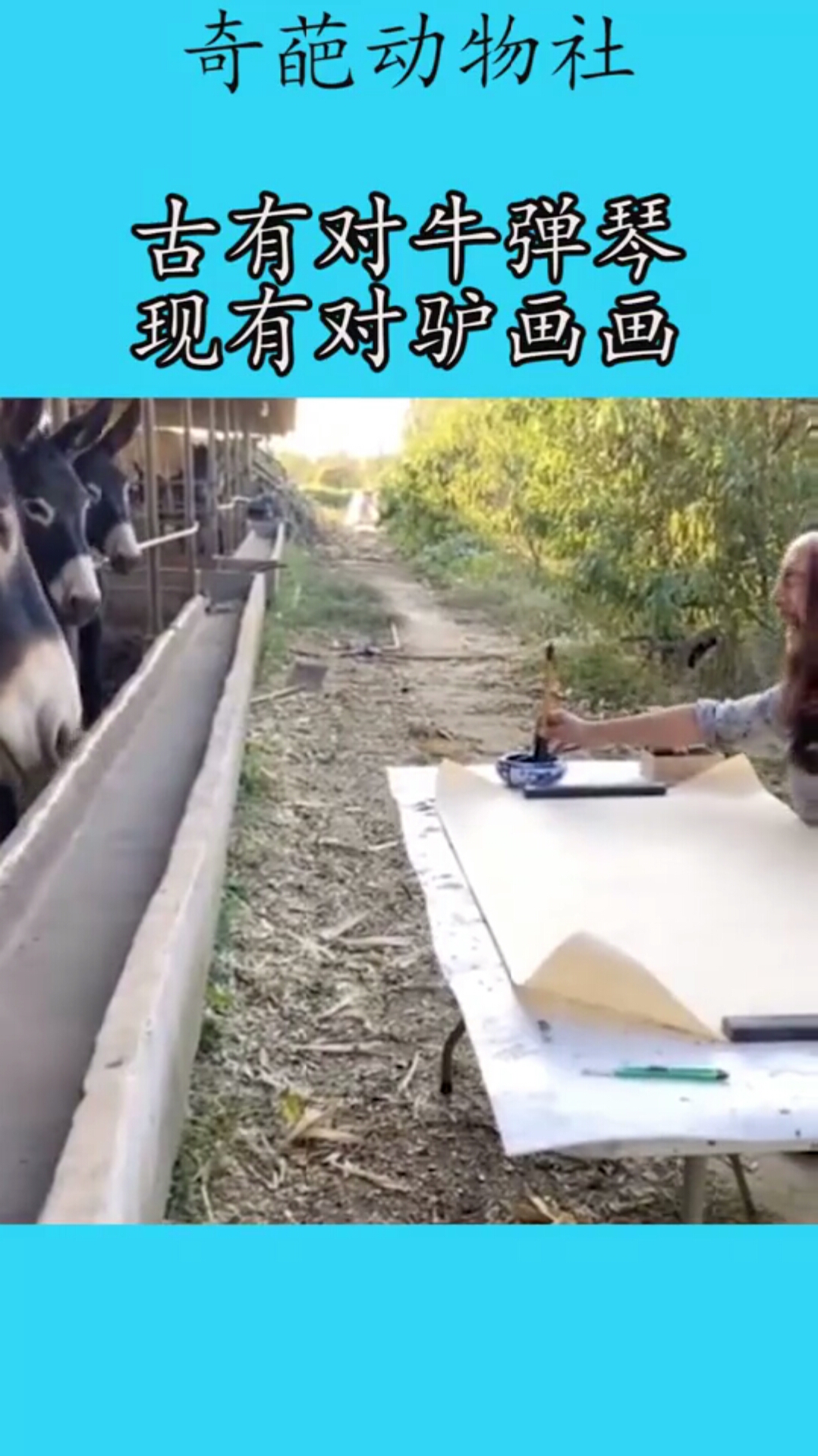 古有对牛弹琴,现有对驴画画