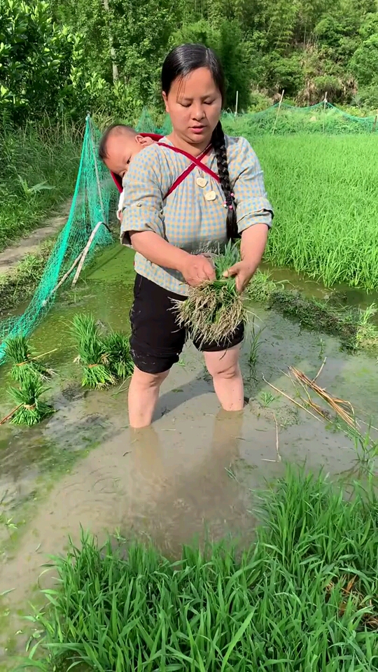 最穷的山区妇女背着小孩干农活