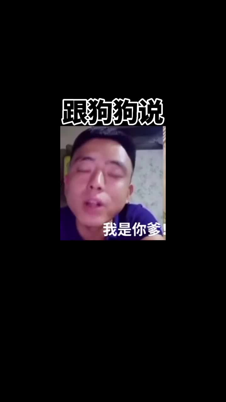 搞笑萌宠对着狗狗说我是恁爹它会有什么反应