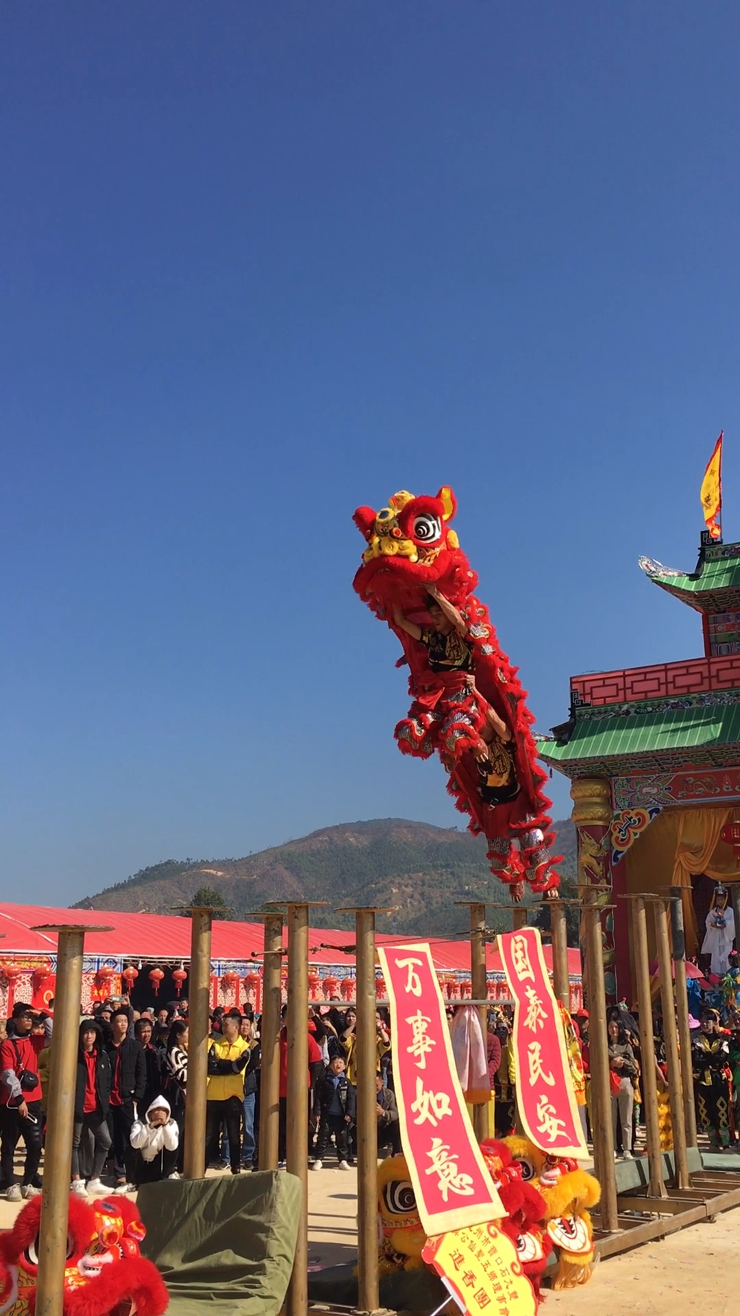 醒狮#大型梅花桩狮表演