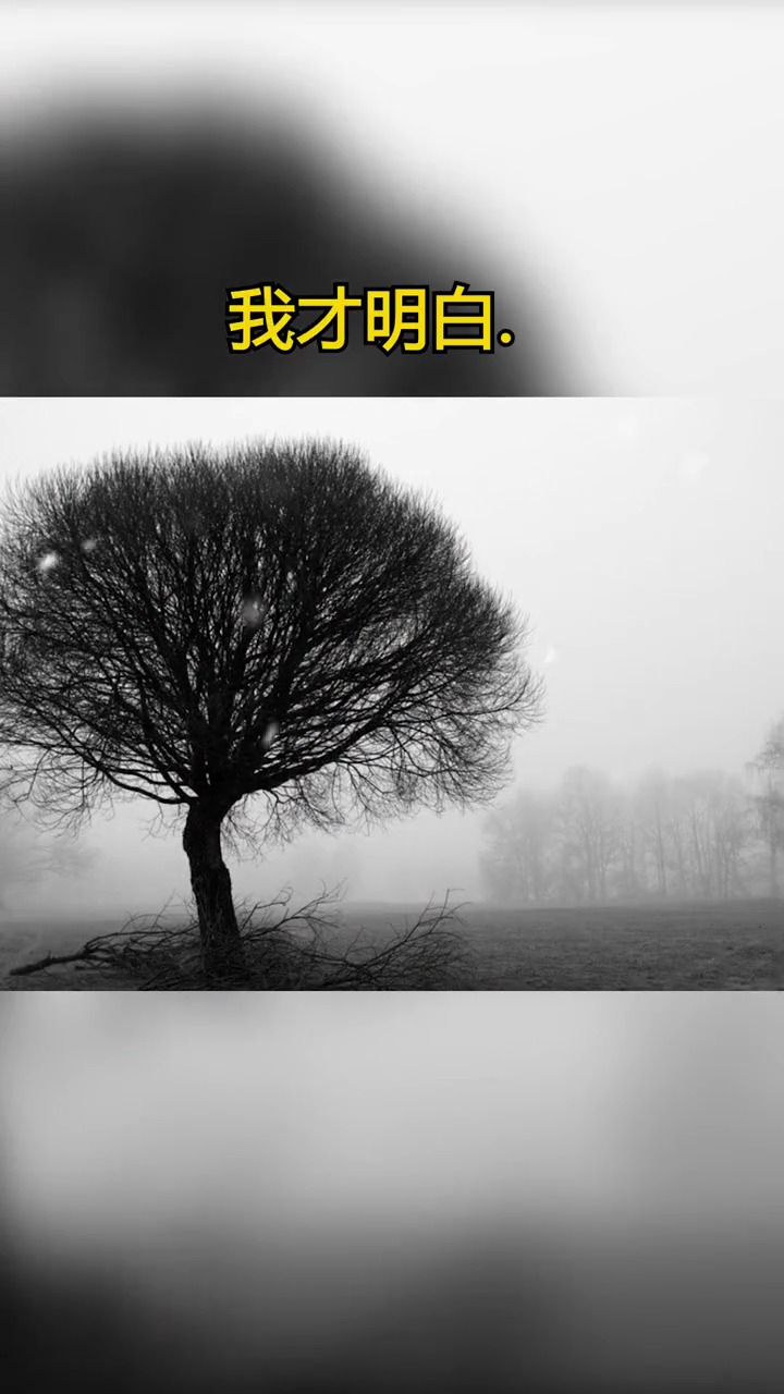 心中晚上害怕的 都是自己想见在也见不到的人