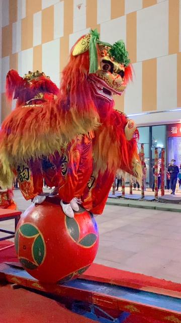 狮子舞的行不行不知道反正绣球走的挺好