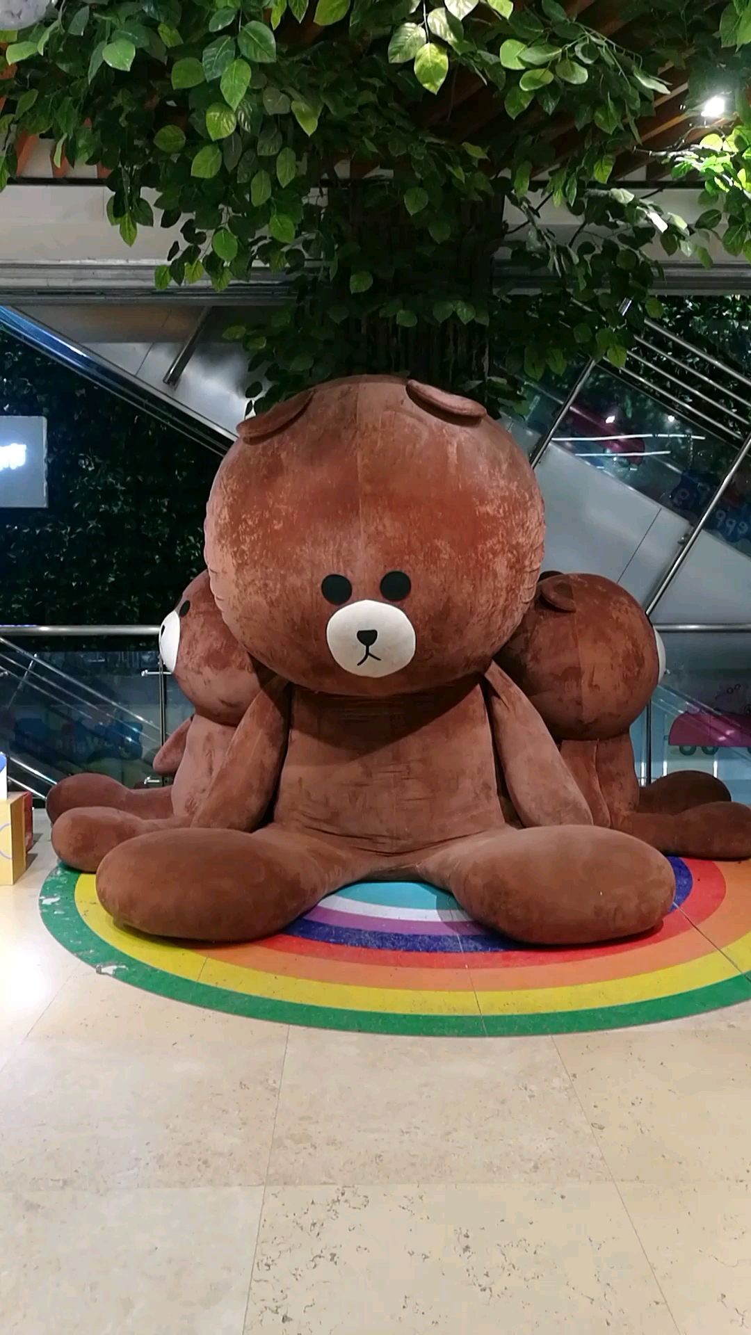 网红大熊熊超可爱,花卉园