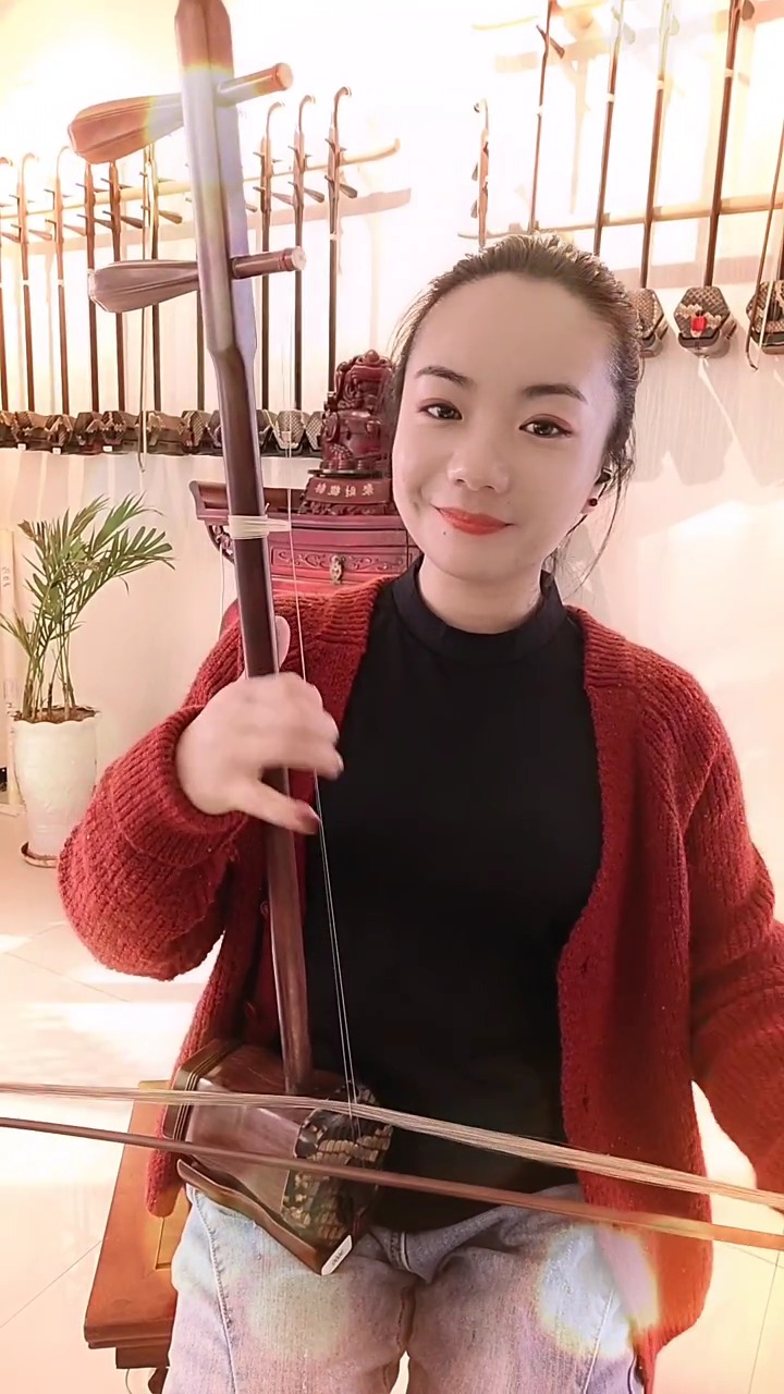 古典中国风国风古韵民乐艺术欣赏二胡独奏挂红灯传承弘扬民乐文化