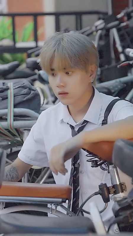 志鸿白马小志 22.