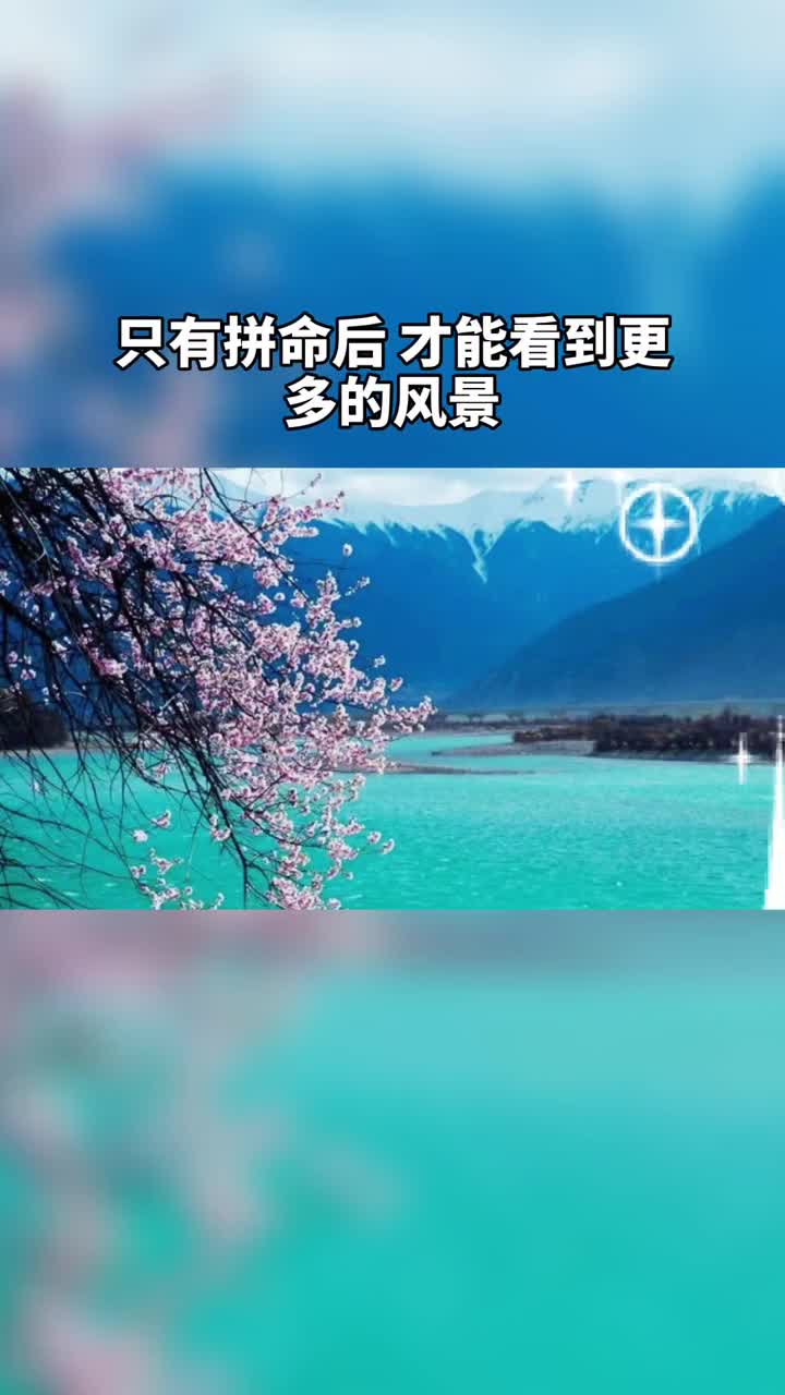 不認命就拼命拼了命才能盡興只有拼命後才能看到更多的風景才能明白