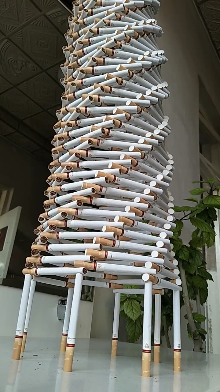 用香烟做的模型