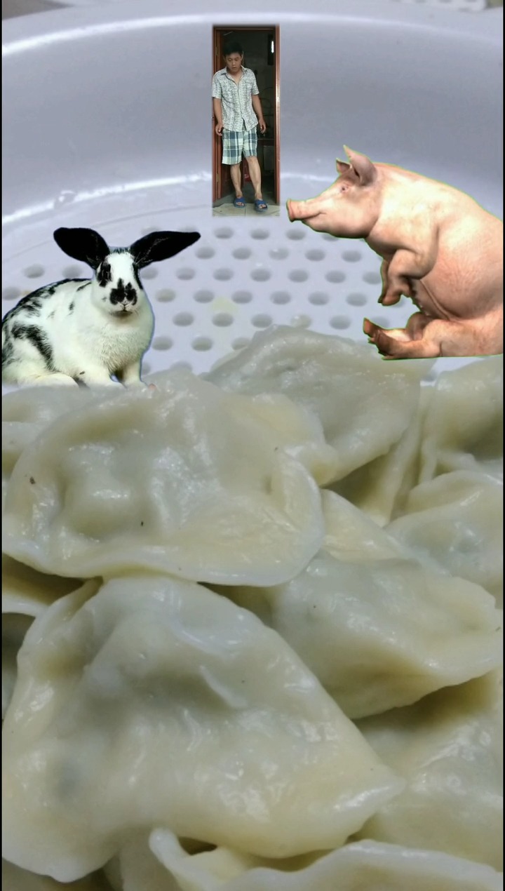 小兔子怎么也吃饺子呢,不是吃萝卜的吗