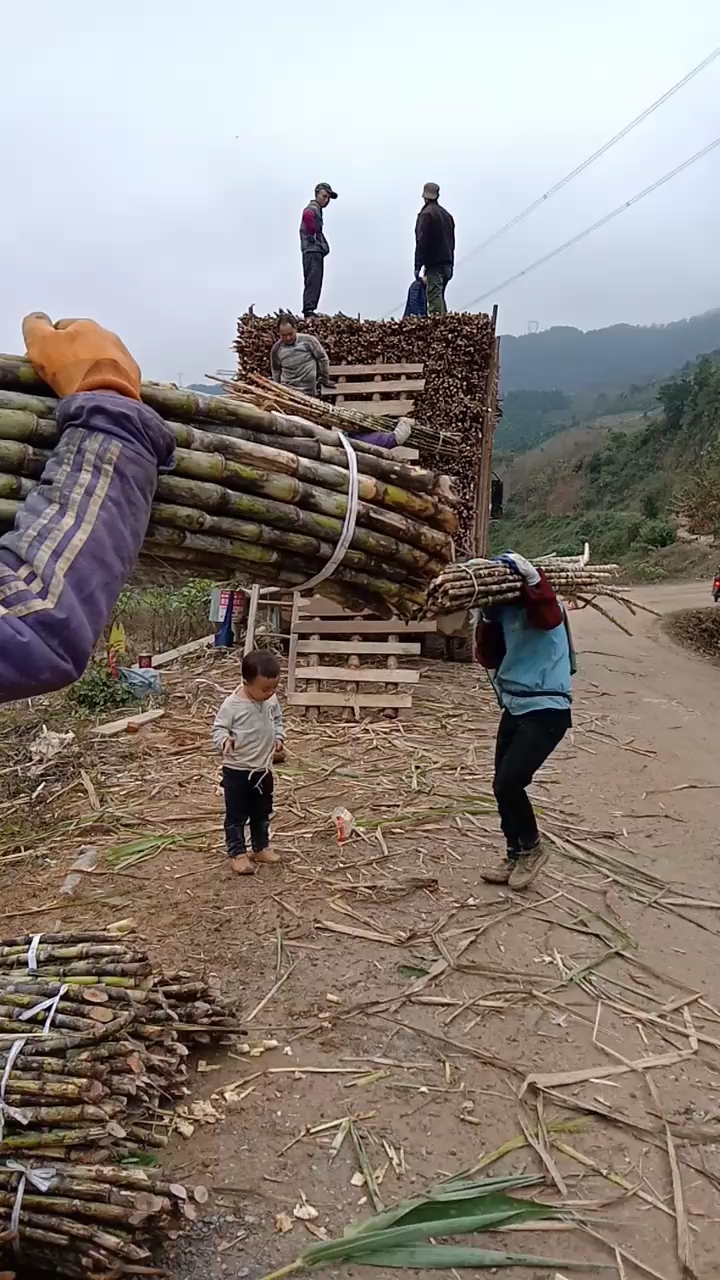 真是辛苦了小孩也去干活