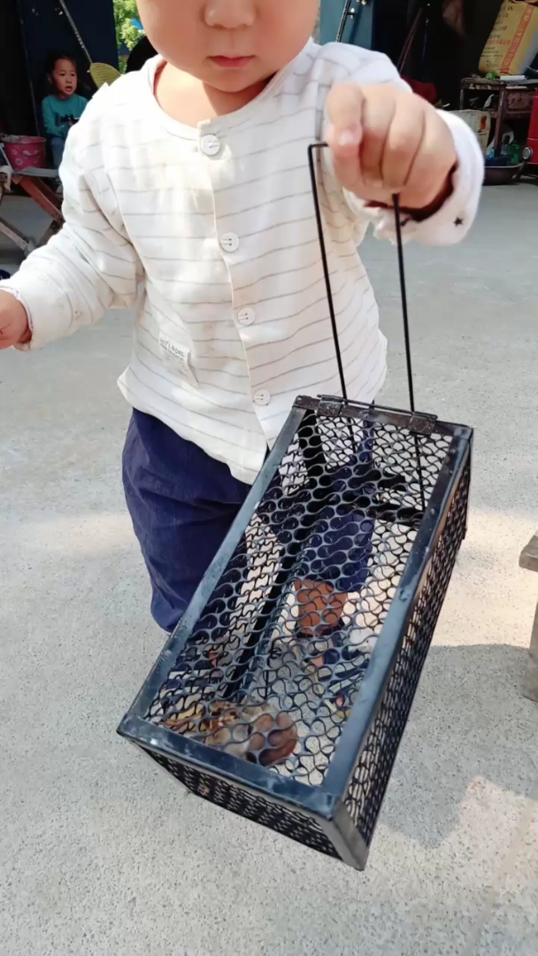 捉老鼠呢,捉到一只小麻雀?