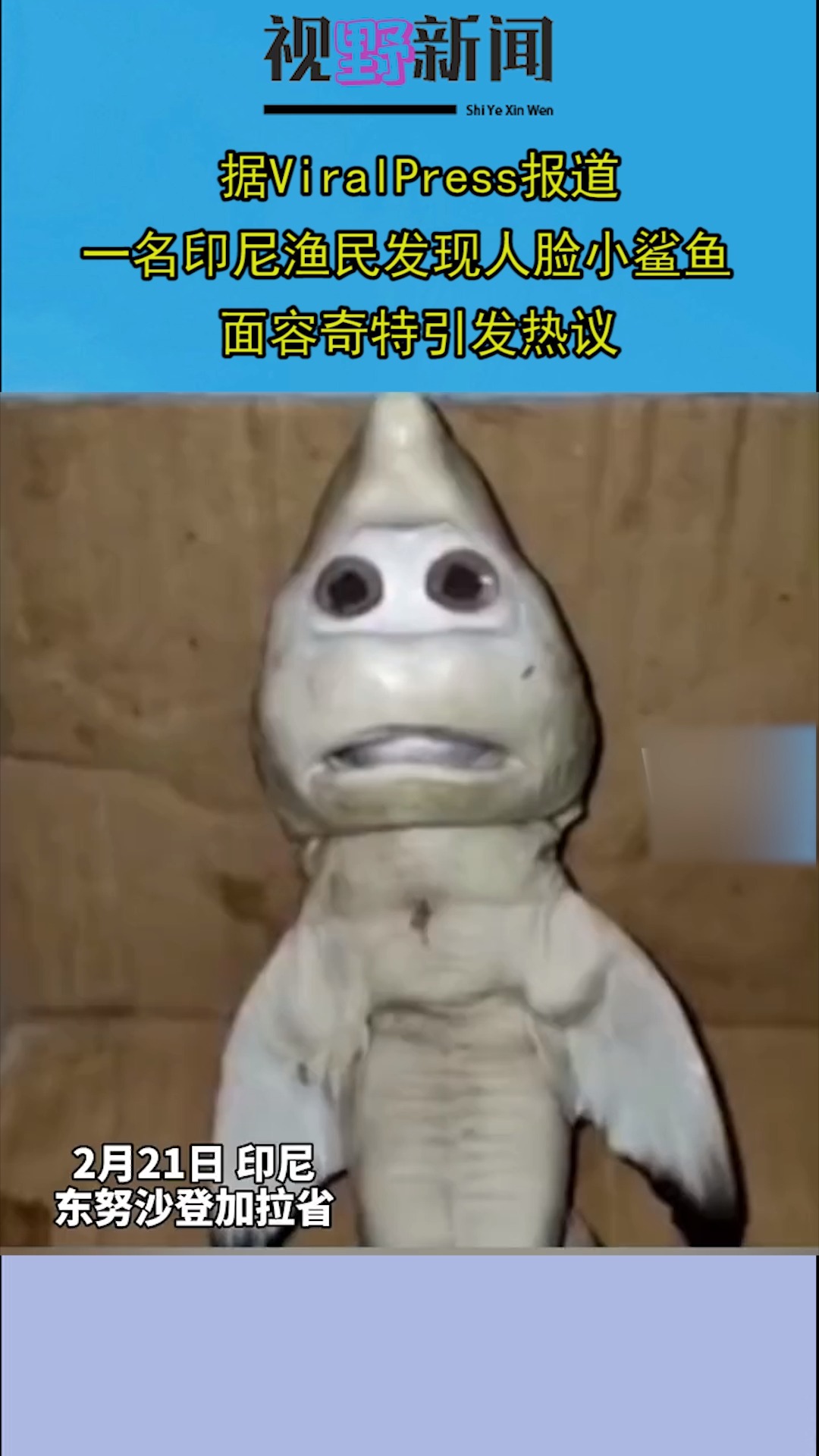 据viralpress报道,一名#印尼渔民发现人脸小鲨鱼 ,面容奇特引发热议