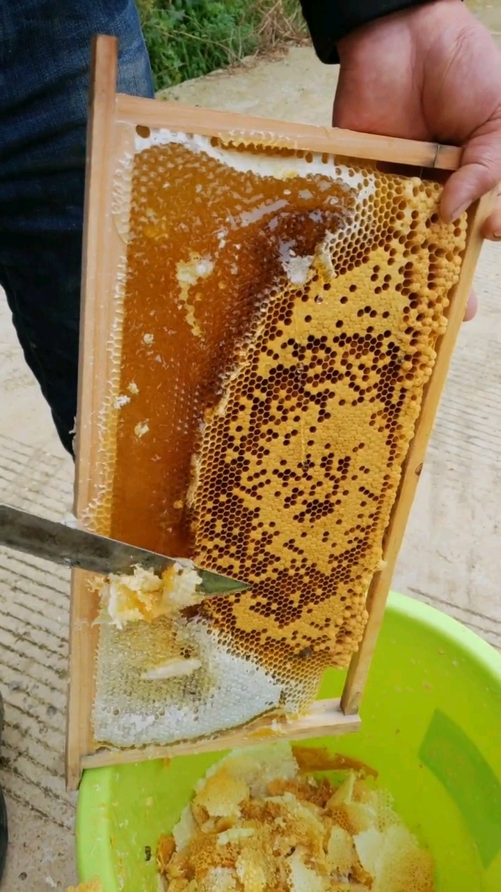 农村原生态土蜂蜜