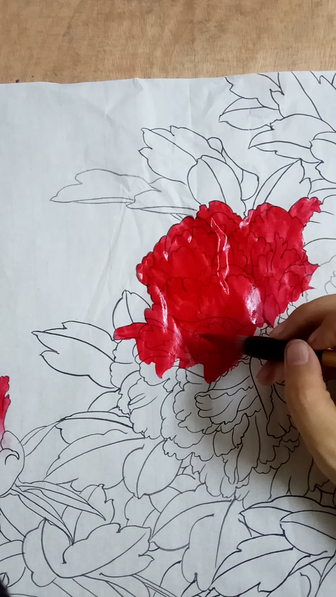 玫瑰红牡丹工笔步骤画图片