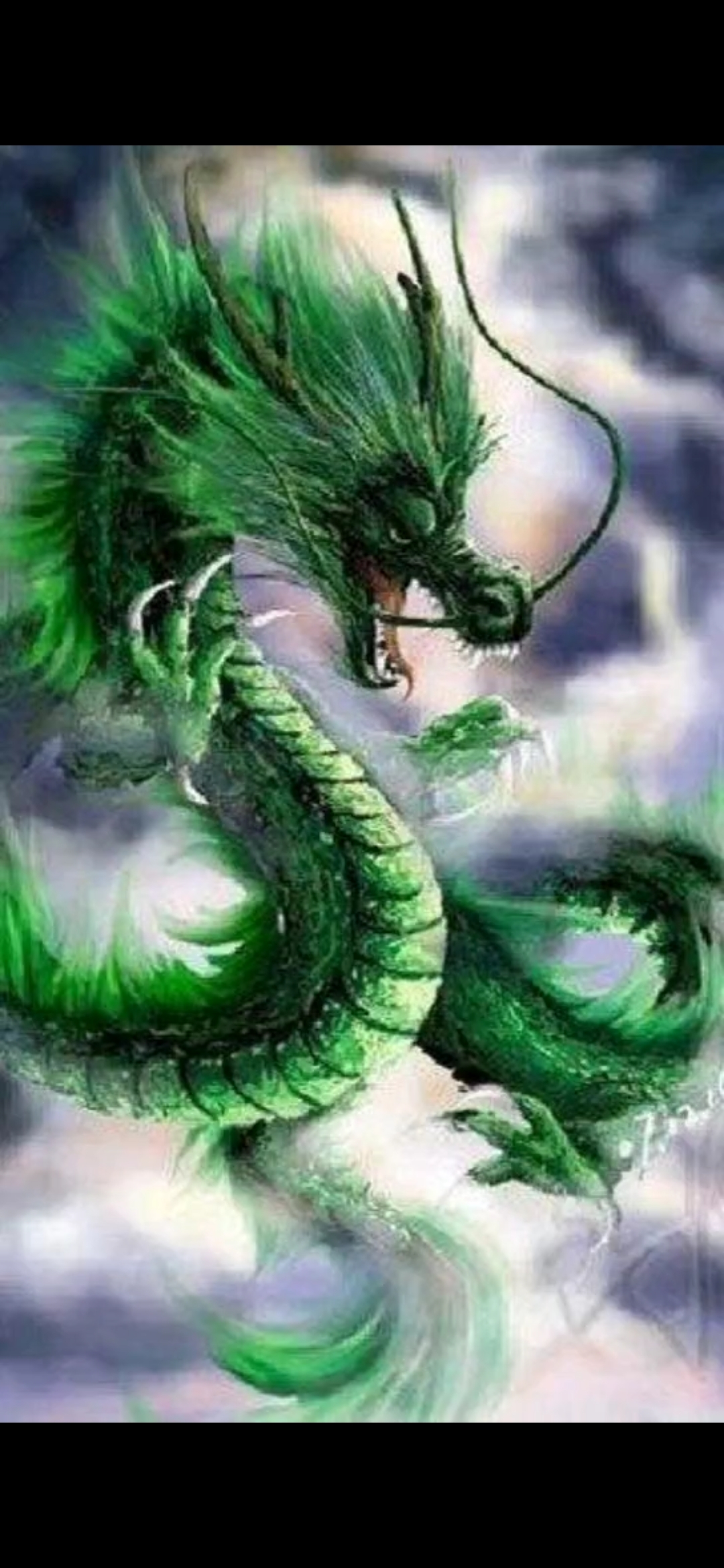 属龙女人的婚姻与爱情