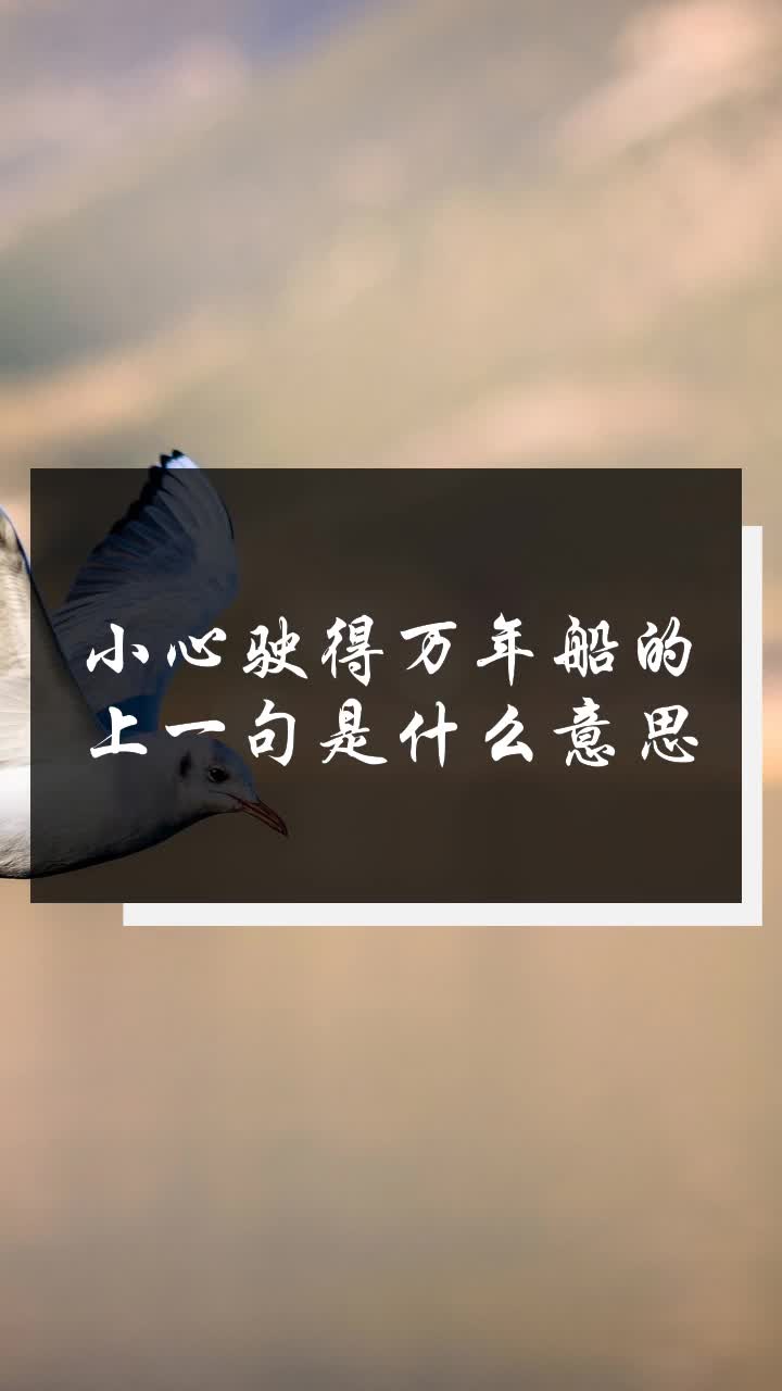 小心驶得万年船的上一句是什么意思