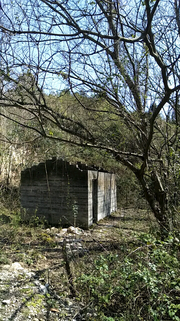 音为有你#深山老林里的房子