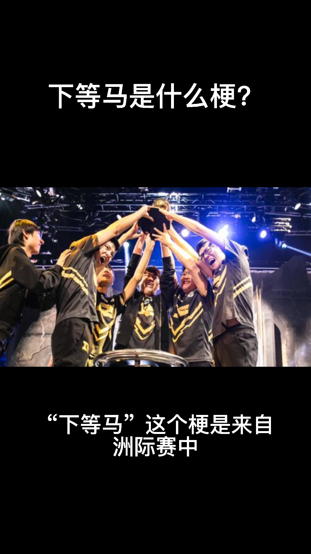 下等马是什么梗