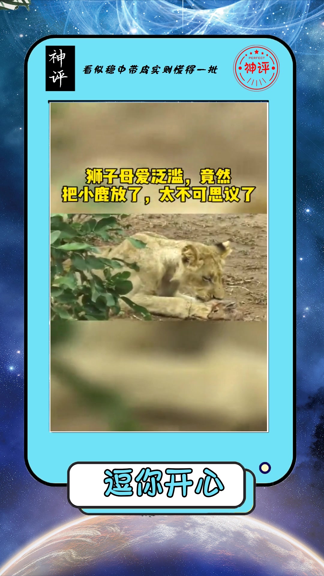 我要上热门#狮子母爱泛滥,竟将猎物放跑,太不可思议了!