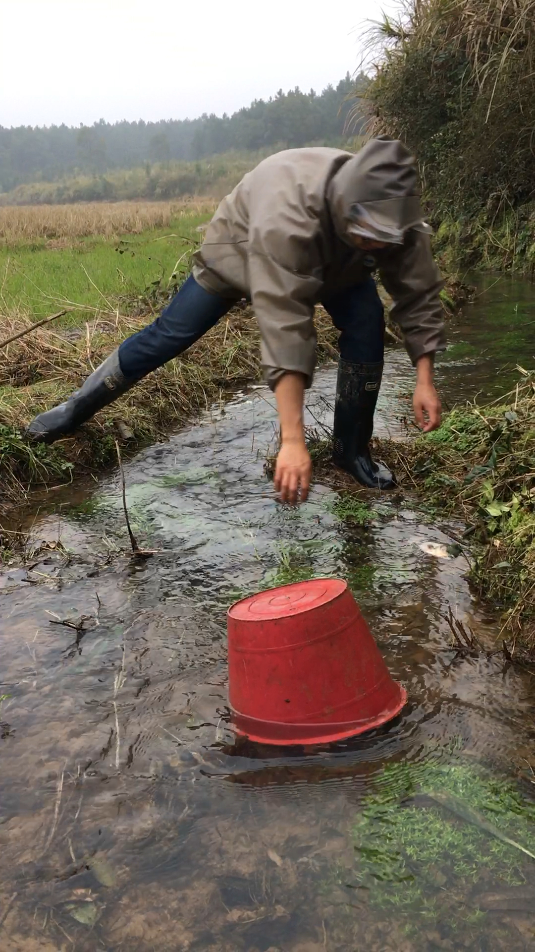 农村人抓鱼好玩