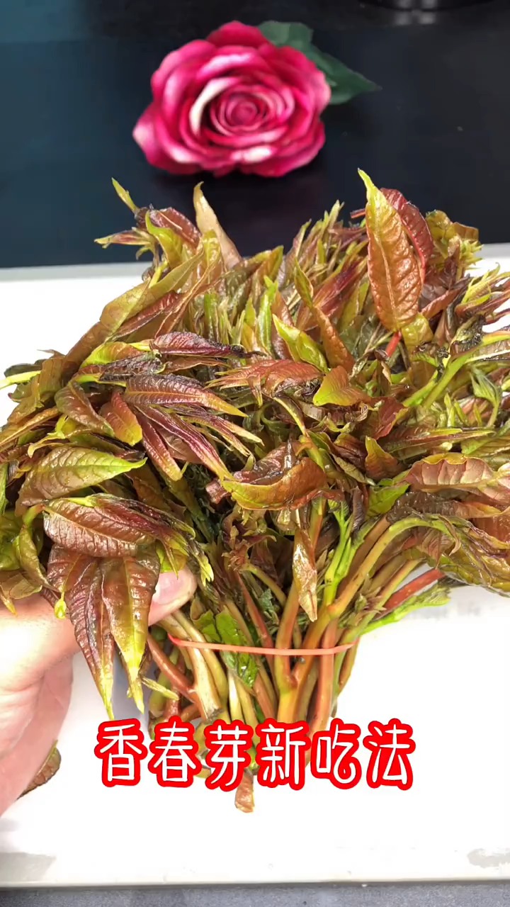 轻知计划家乡野味菜香椿芽