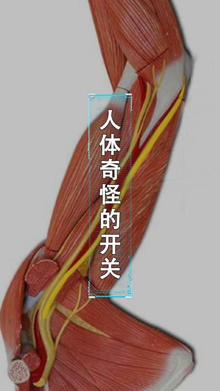 每天一点冷知识#人体有哪些奇怪的开关?