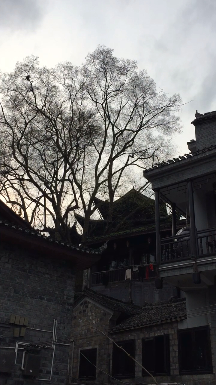 郊游踏青#最美四月天 郊游踏青好去处,凤凰古城