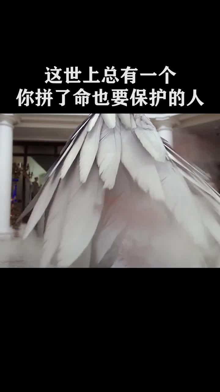 我要上热门#总有一个你拼命也要保护的人
