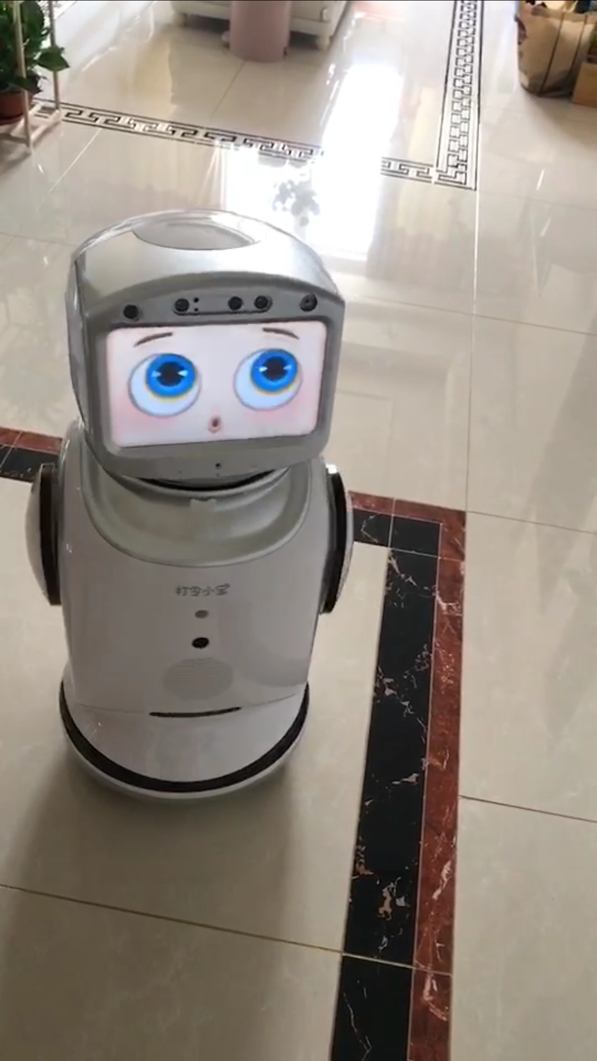 这个机器人太卡哇伊了!好看