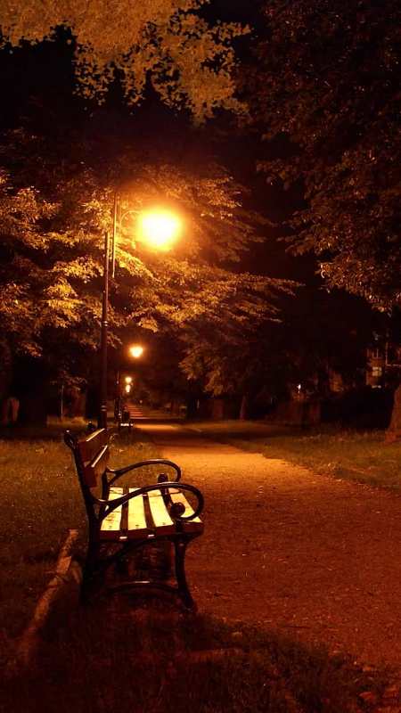 孤独安静夜景图片图片