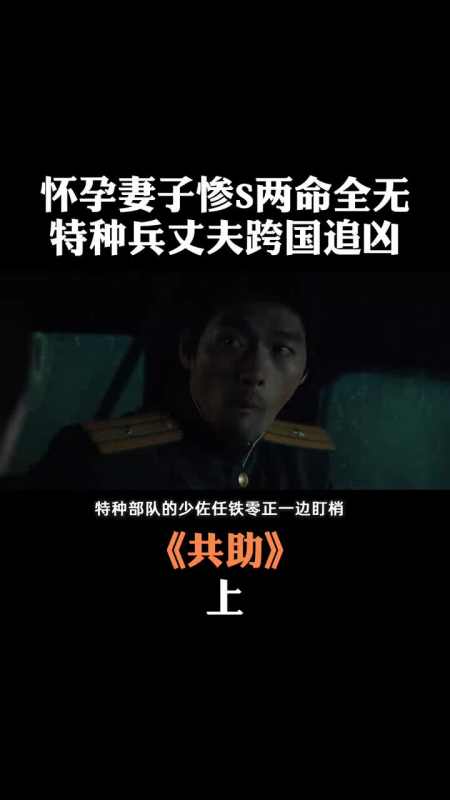 韩国动作电影孕妻遭叛徒杀害朝鲜特工为复仇一路追杀到韩国