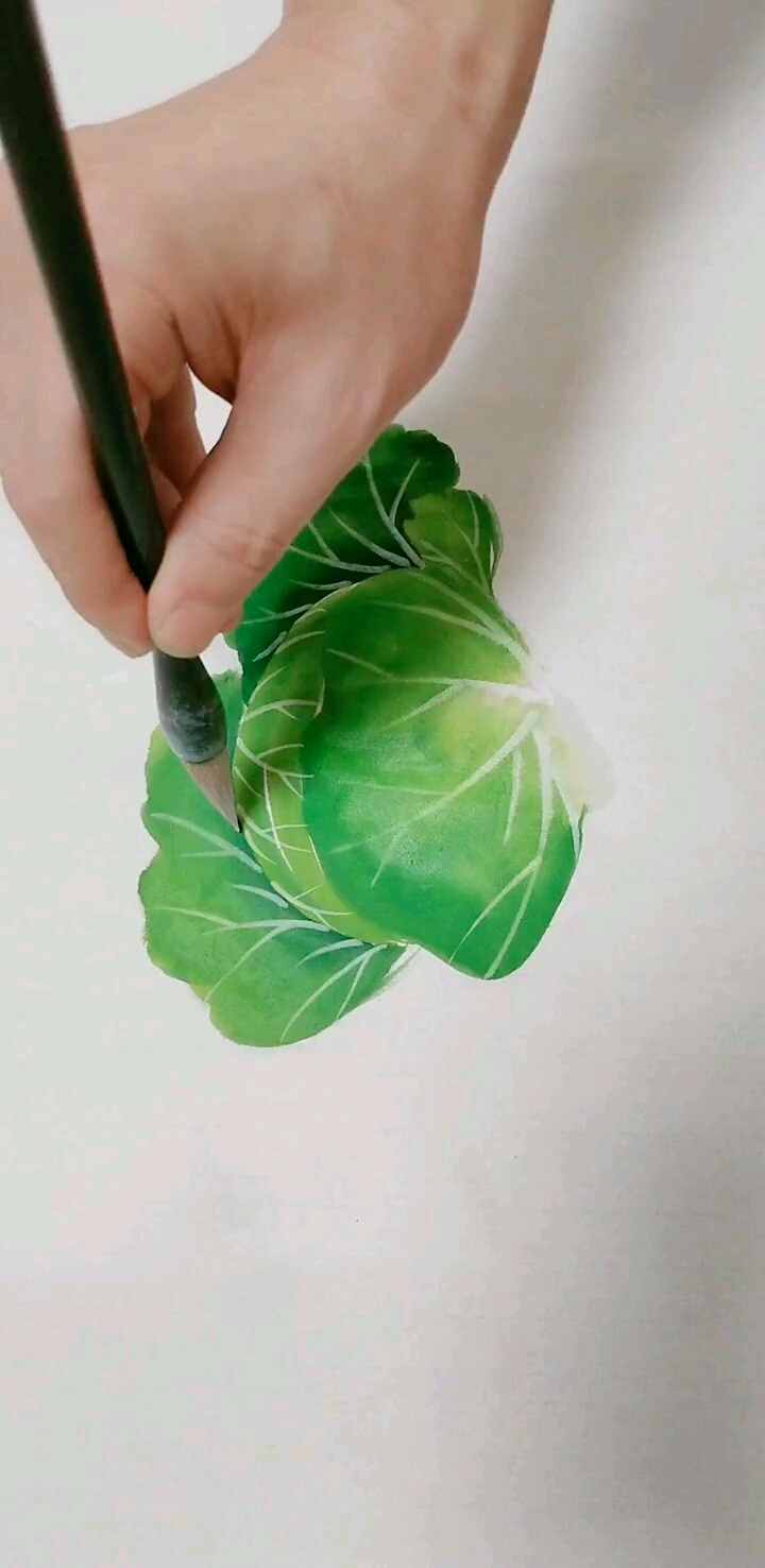 我要上热门#卷心菜这么画一看就会
