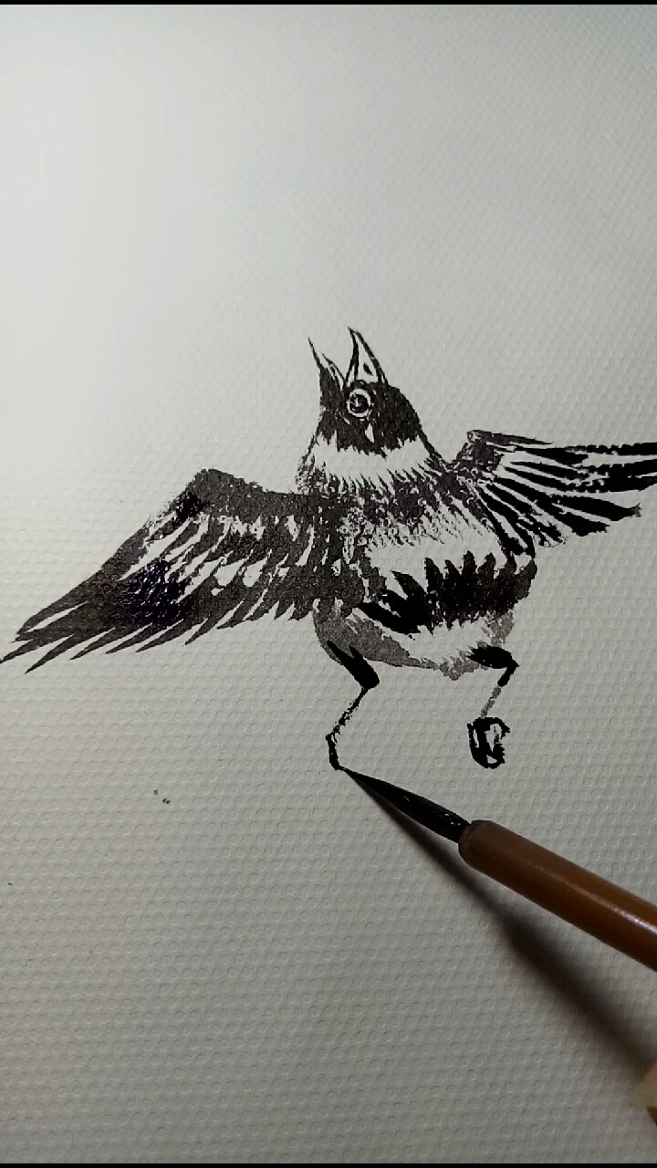 寻找最牛手艺人#勾线笔教你画飞鸟