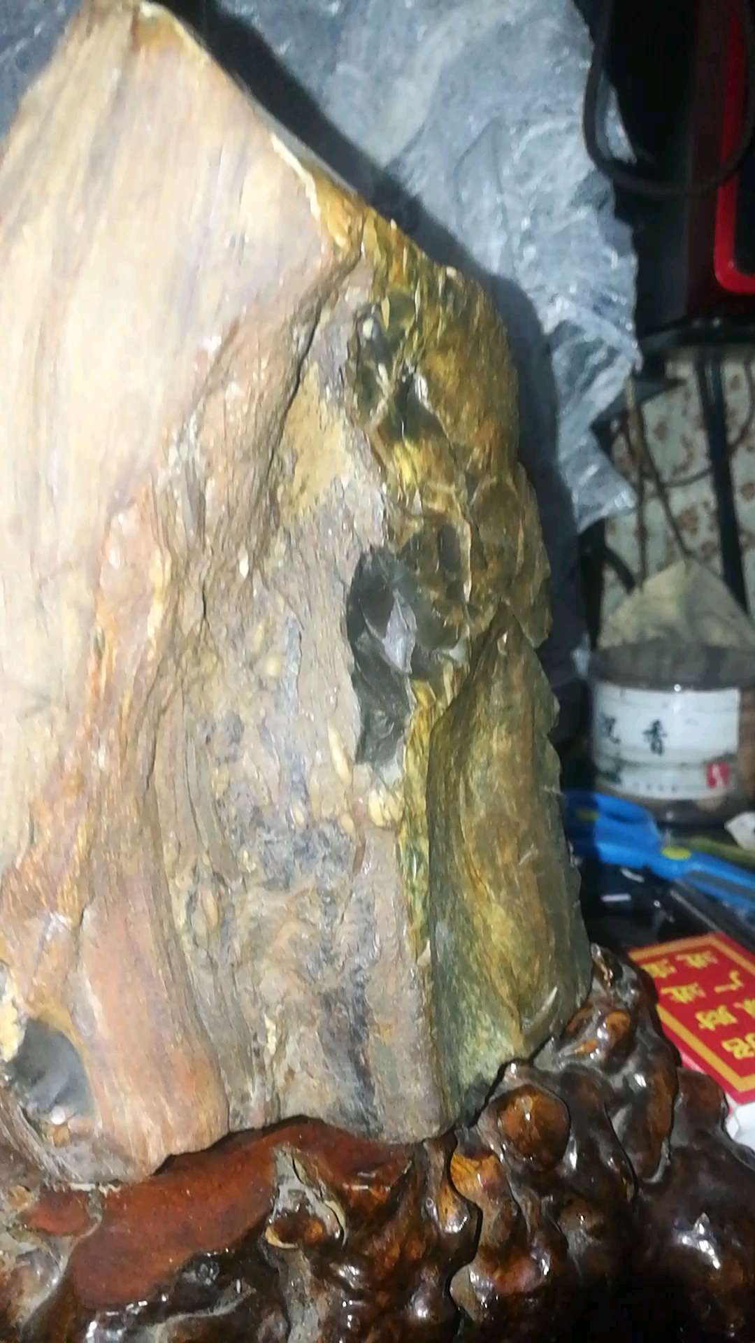 带虫天然树化玉摆件