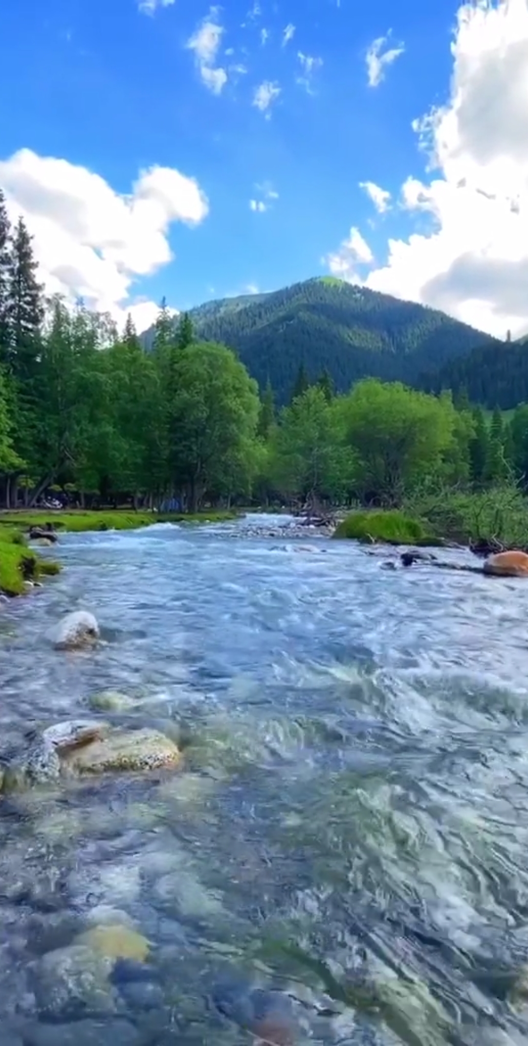 旅游进行时#新疆伊犁最美河流,大自然清澈见底的小河,悦耳动听的流水