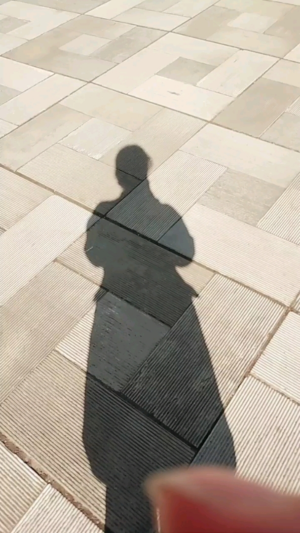 阳光见久了,喜欢上了自己的影子