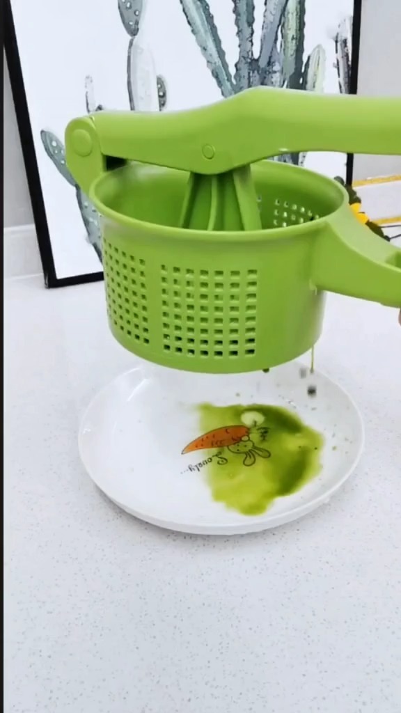 蔬菜挤水器