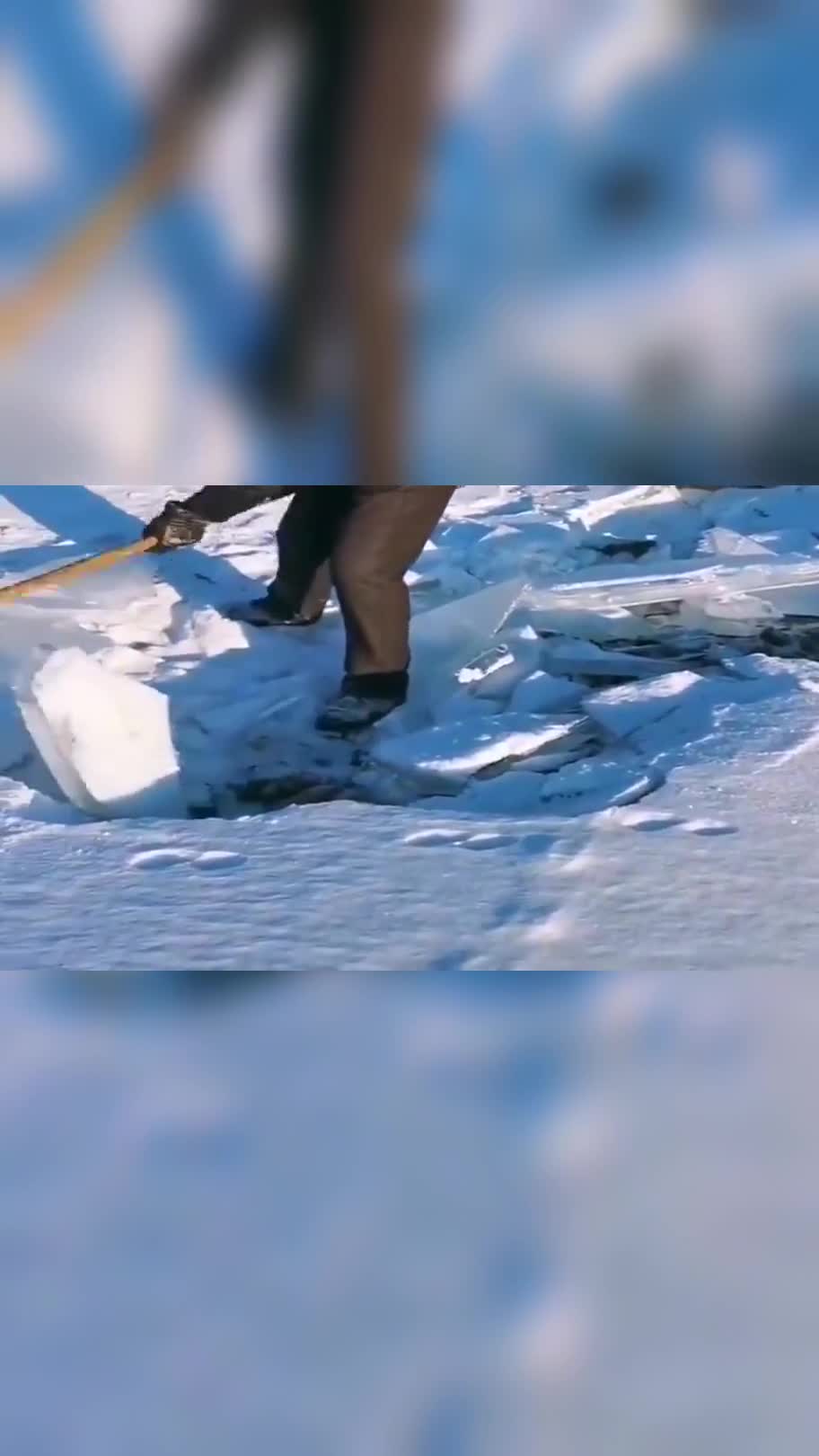 东北小伙来抓鱼了,好多鱼都冻死在冰下面,吃鱼直接捡!
