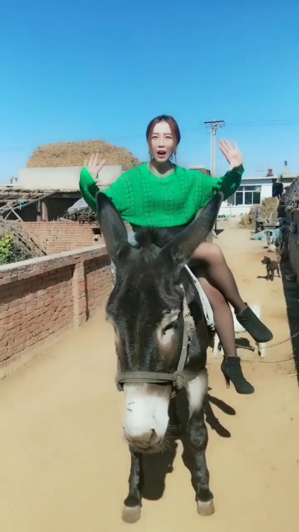 农村姑娘骑驴图片