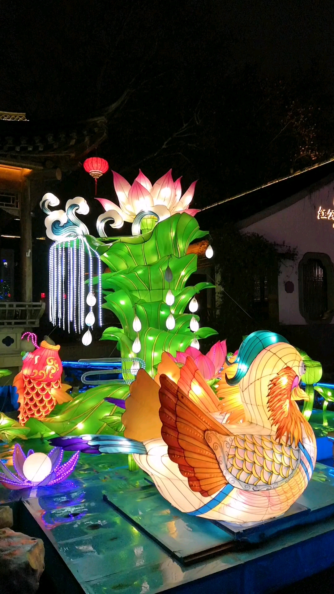 欢喜闹元宵#老门东的灯会,莲花灯好好看呀