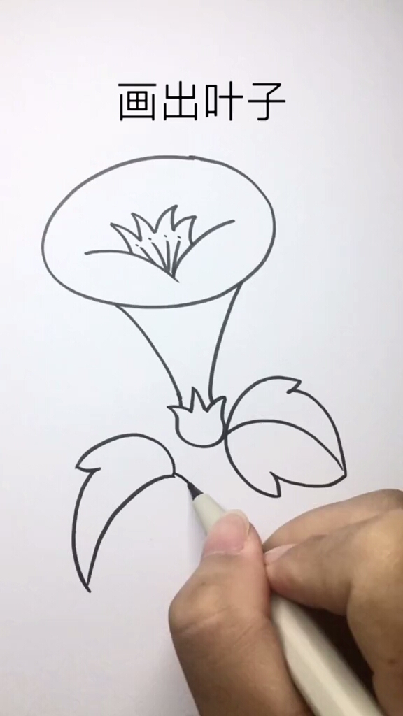喇叭花很简单就画出开了