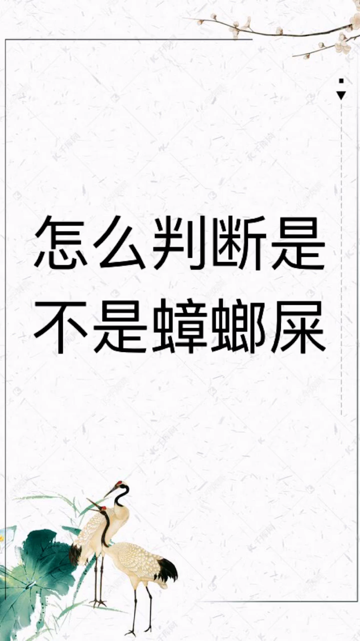 我来告诉你怎么判断是不是蟑螂屎