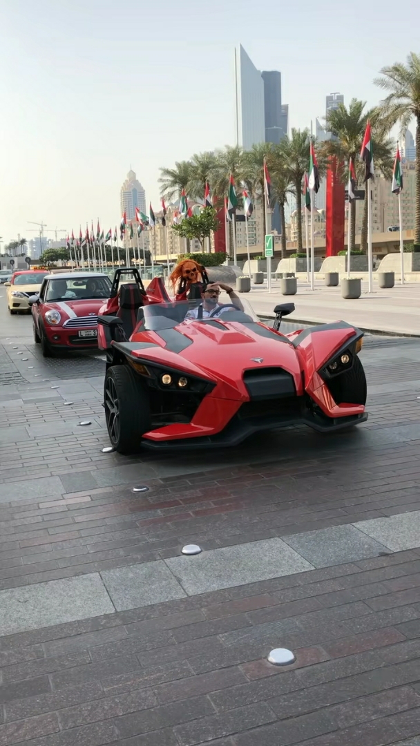 迪拜小哥最喜欢三轮车?上面东西亮了